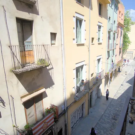 La Lleona Appartement *