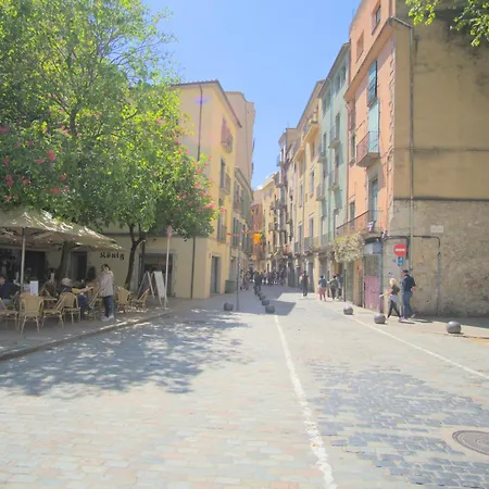 La Lleona